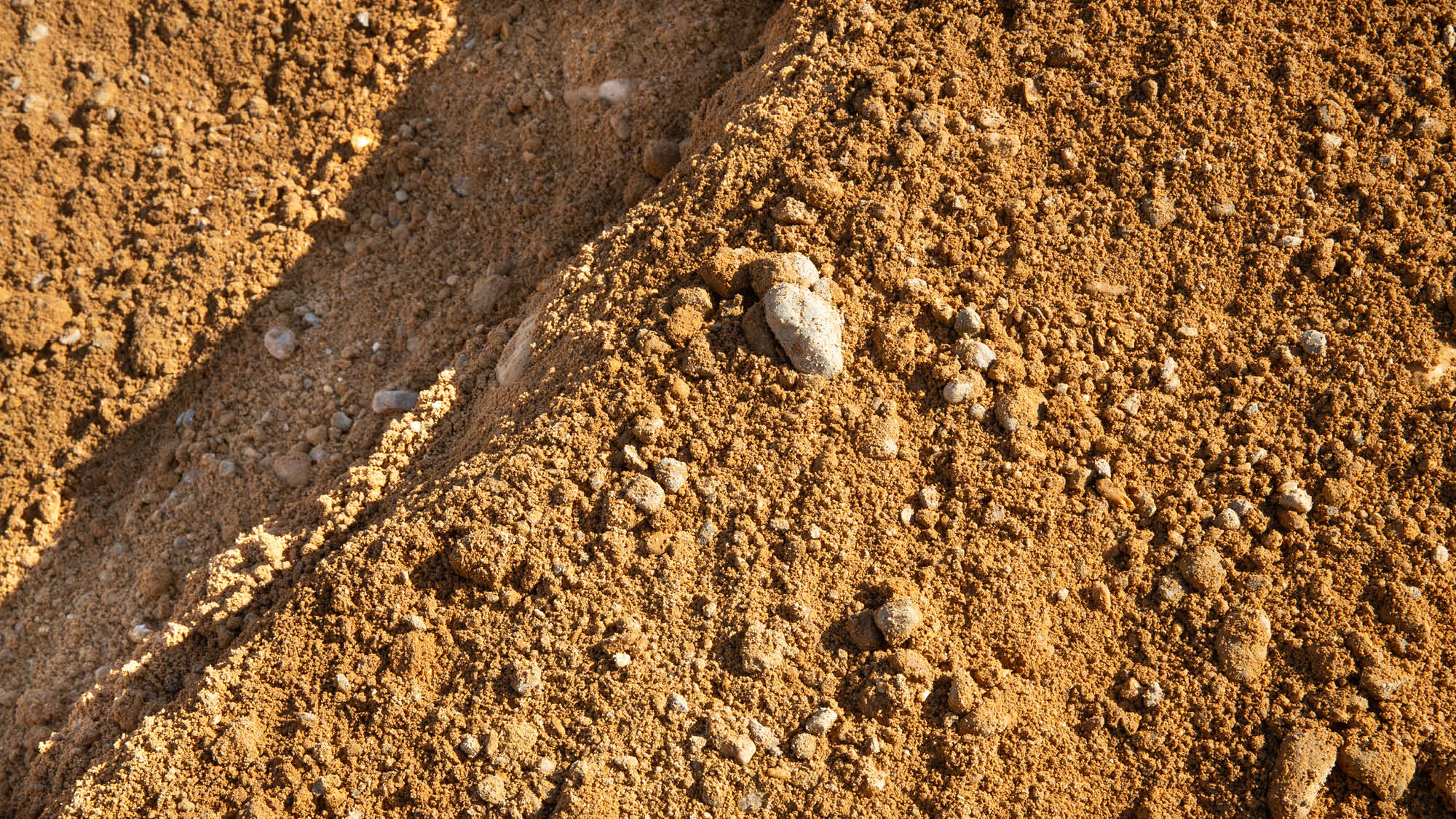 資源開発・共同採取