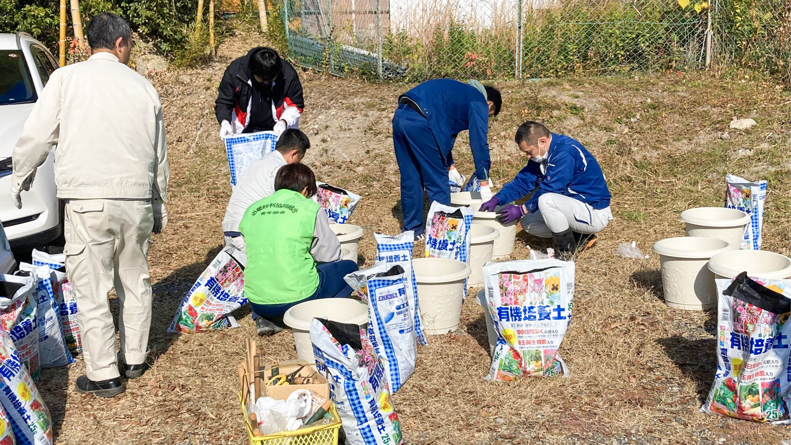チューリップ配達